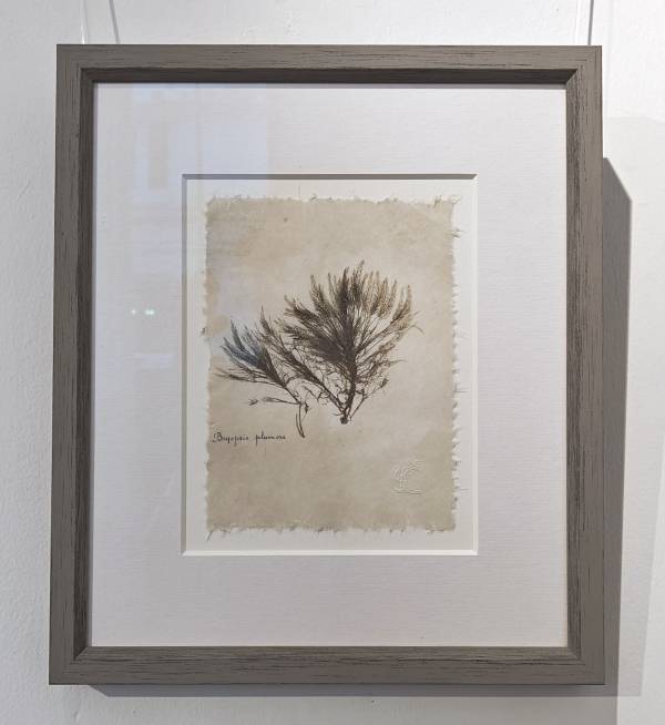 - on , Print by Richard Farrant, measuring 19 x 15 cm (H x W) framed at 35 x 30 cm £75